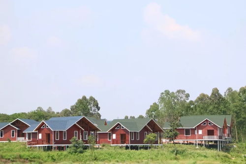茂名乡村旅游季火热开启，五条精品线路邀您共赴田园之约