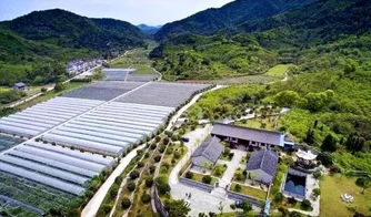 上虞五处田园荣登浙江最美榜单，乡村旅游线路焕发新魅力