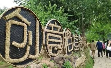 从地域性视角审视乡村旅游的差异化发展路径