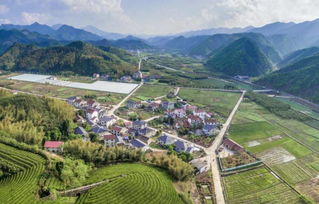 桐庐乡村旅游产品集结号 探秘山水间的惬意好物